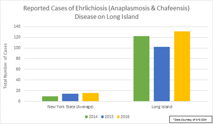 Ehrlichiosis Disease on Long Island