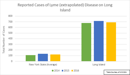 Lyme Disease on Long Island